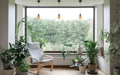 Is a Picture Window Right for Your Home? Here’s What You Need to Know